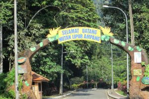 Bukit belacan