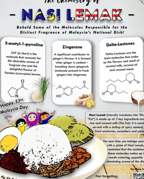 nasi lomak kimianasi lemak kimia
